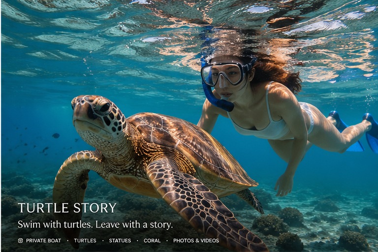 Turtle Story